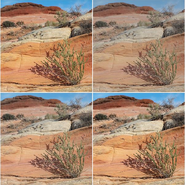 photography tips
